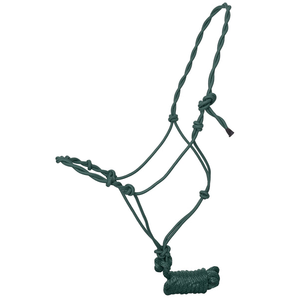 Draft Horse Twisted Cowboy Halter with 10ft Lead