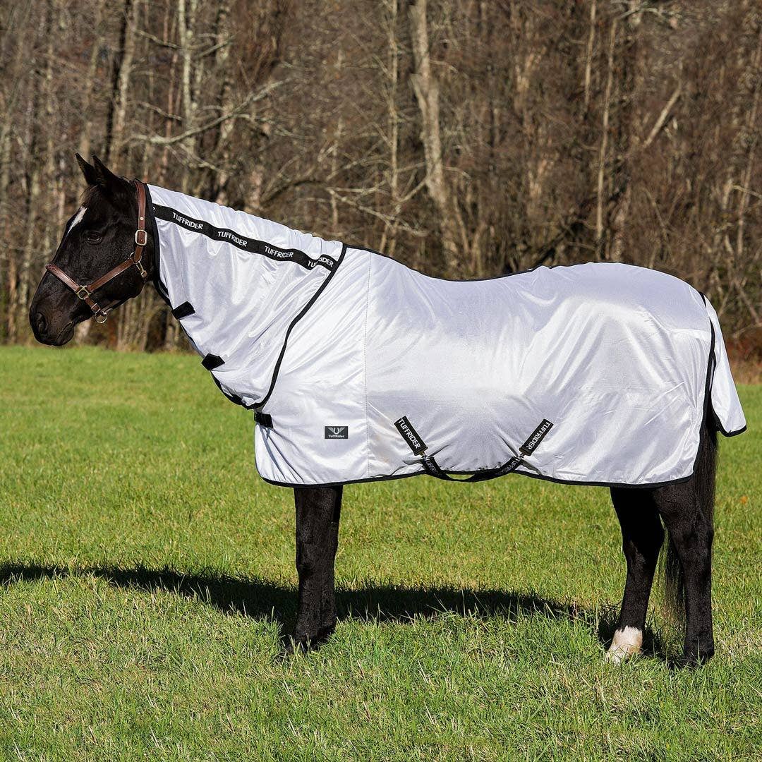Horse wearing a white fly sheet with neck cover