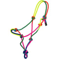 Colorful miniature rope halter.