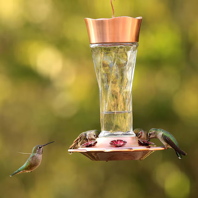 Hummingbird feeder with hummingbirds around it