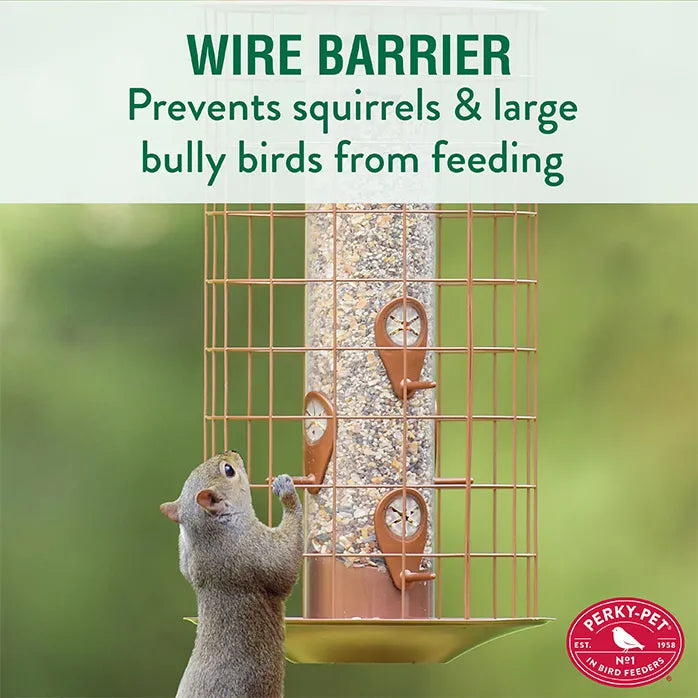 Bird feeder with wire barrier preventing squirrels and large birds from accessing it, featuring Perky-Pet logo.