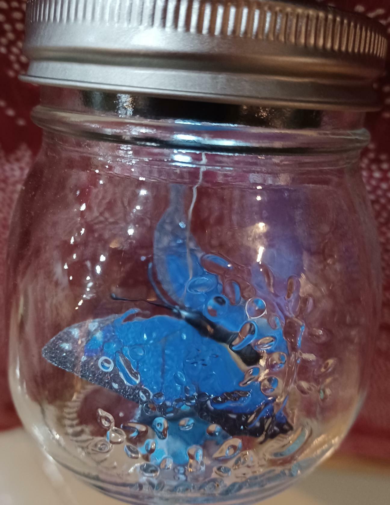 Glass jar with a blue fish design on a red patterned background