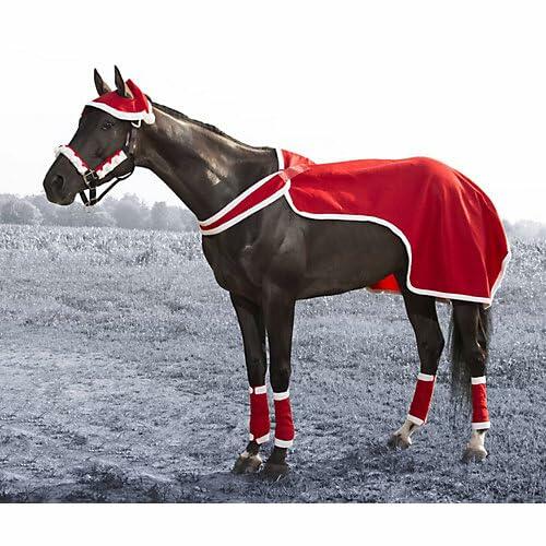 Horse dressed in Tough 1 Jolly Santa 4 Piece Holiday Costume Set with sheet, hat, halter, and leg wraps for Christmas parades and photos