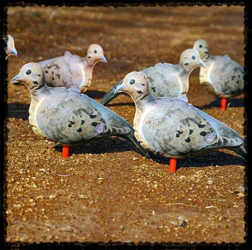Cherokee Sports Pocket Rockets inflatable photoprinted dove decoys for hunting spread