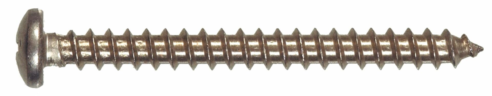 Metal screw with a threaded shaft and hex head on a white background