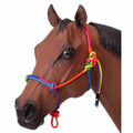 Model horse head with colorful bridle on a white background