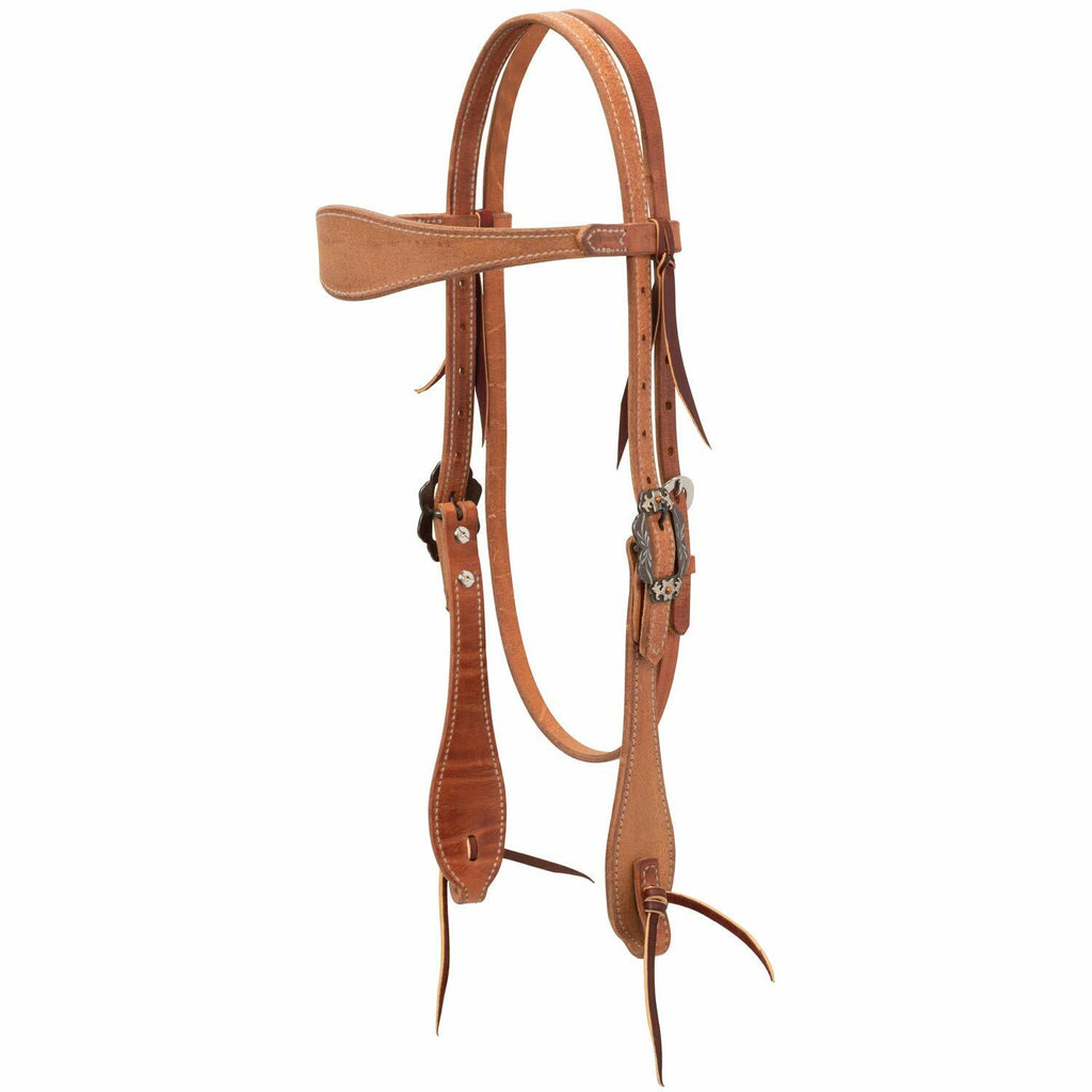 Brown leather horse bridle on a white background