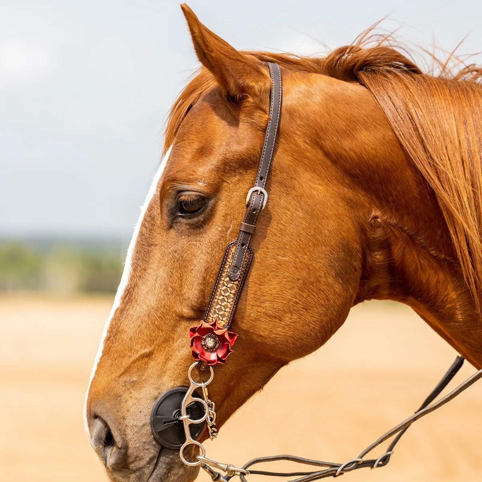 Close-up of a brown horse with a bridle in an outdoor setting