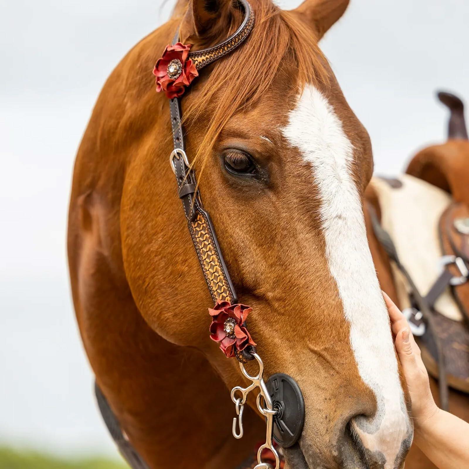 Close-up of a horse's head with a decorative bridle in a field