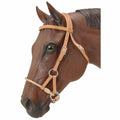 Brown horse wearing a beige bridle on a white background