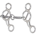 Metal horse bridle bit on a white background