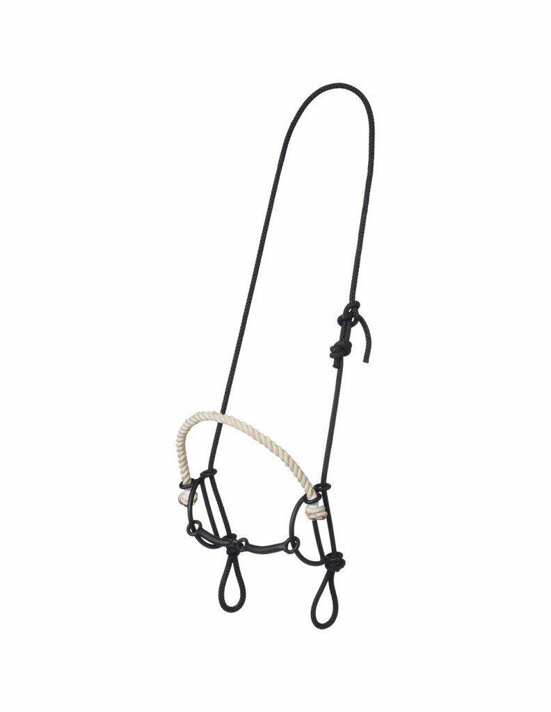 Horse bridle with black reins on a white background