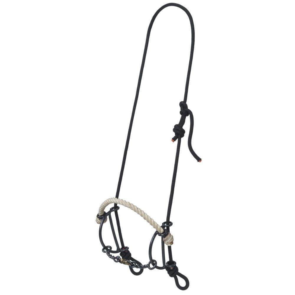 Horse bridle with black reins on a white background