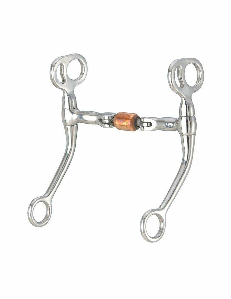 Horse bridle bit on a white background