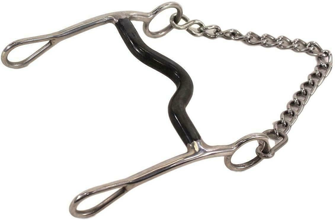 Metal bridle bit with chain on a white background