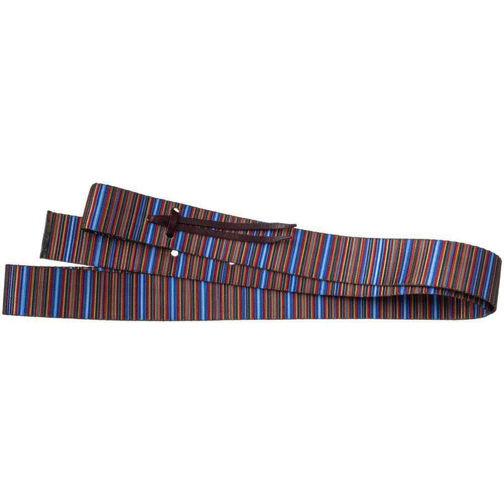 Striped belt with multicolor pattern on a white background
