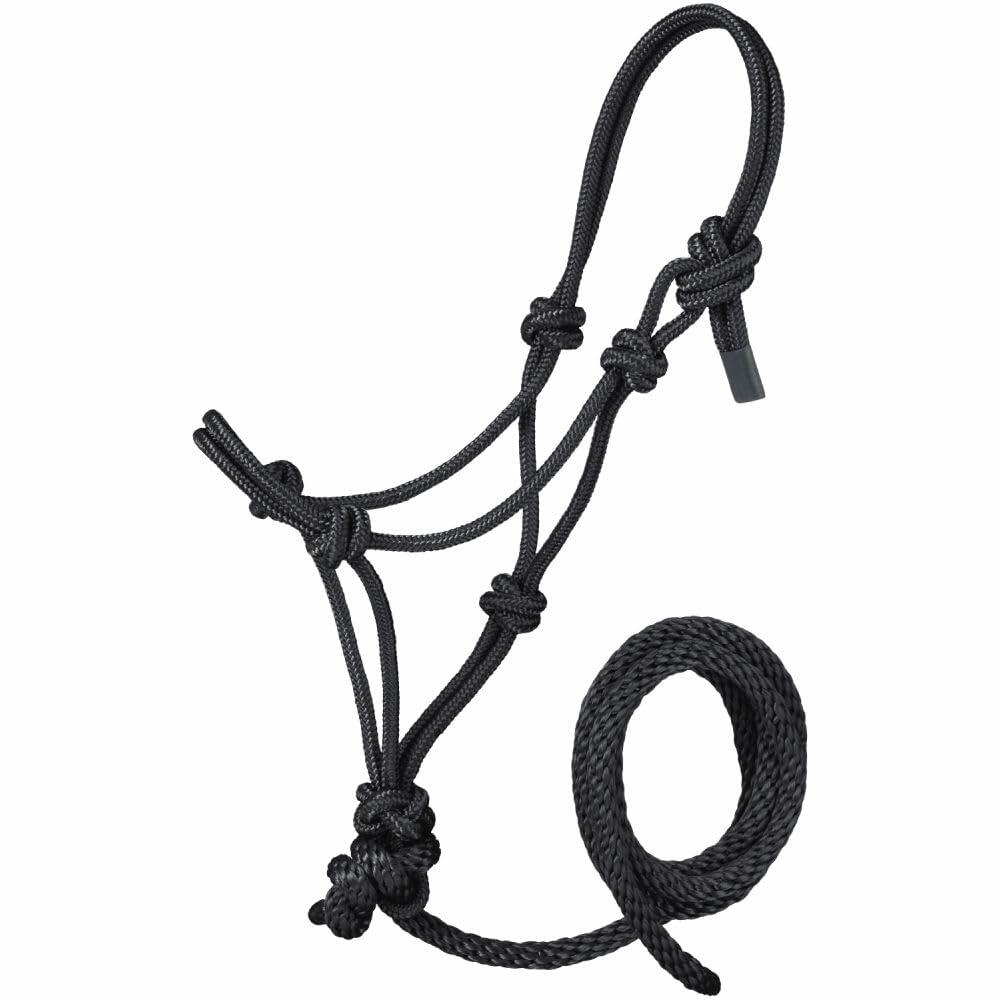 Black rope halter and lead rope on a white background