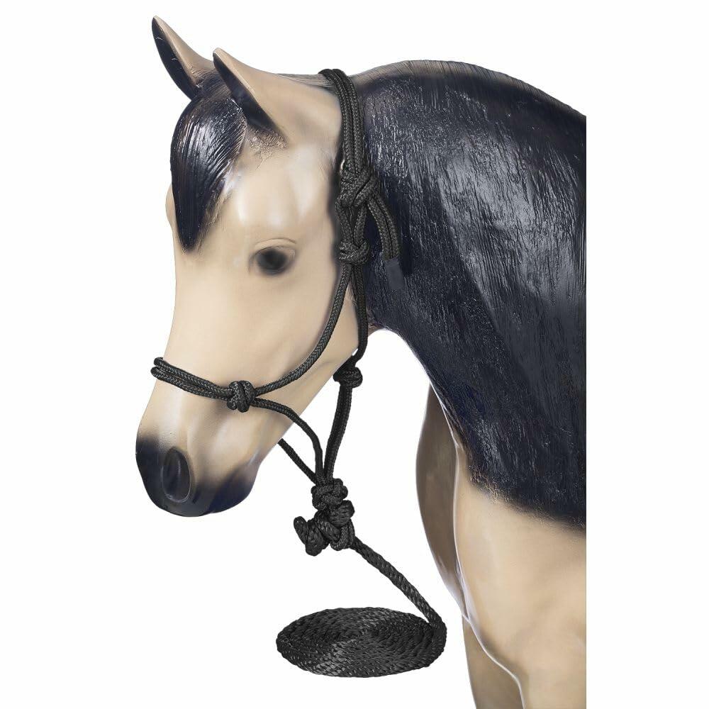 Horse head with a cowboy halter and lead on a white background