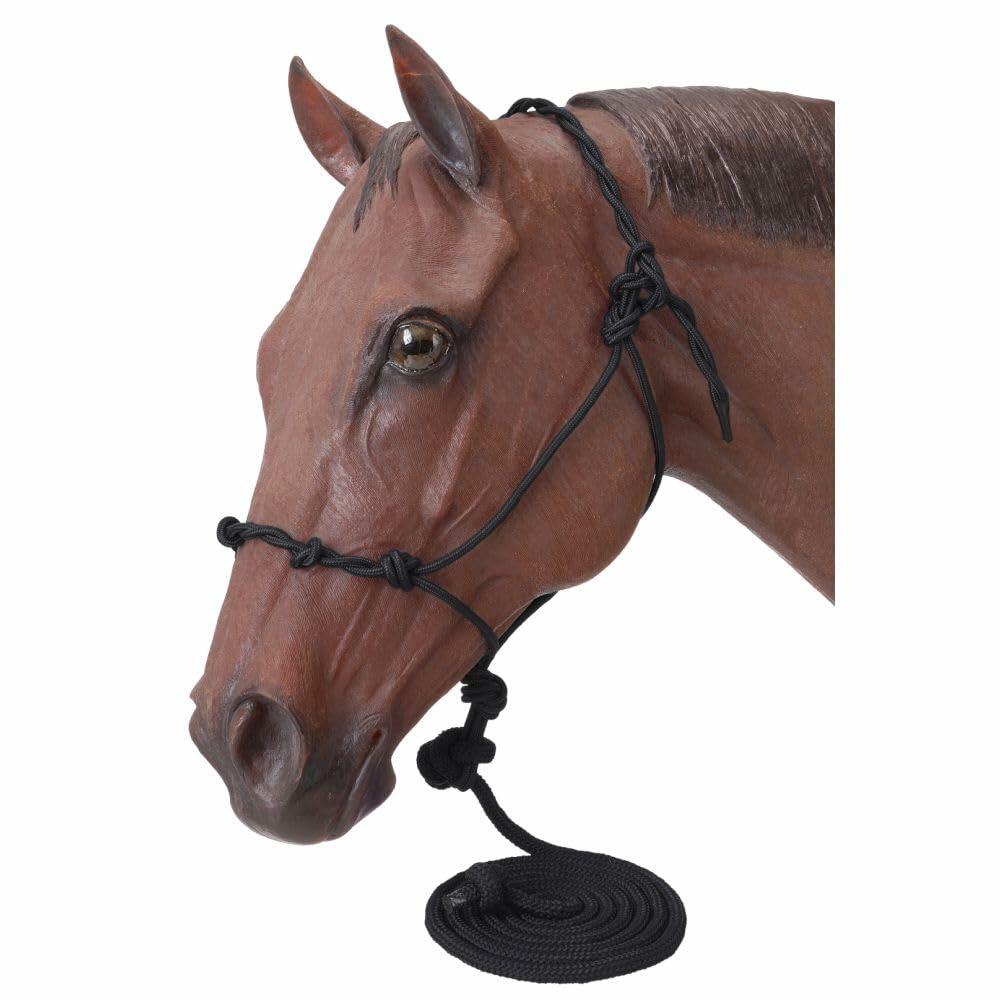 Model horse head with a cowboy training halter and 14 ft lead rope