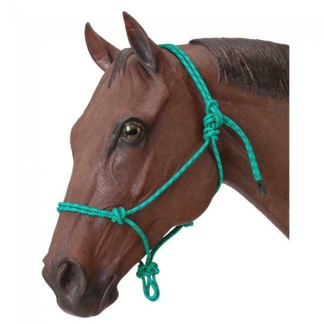 Close-up of a horse's head wearing a green cowboy halter on a white background