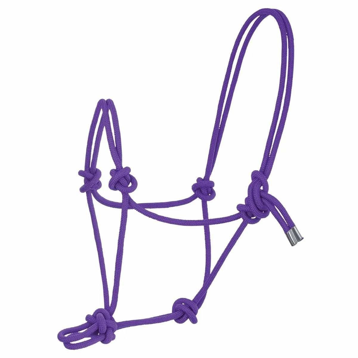 Purple rope halter on a white background