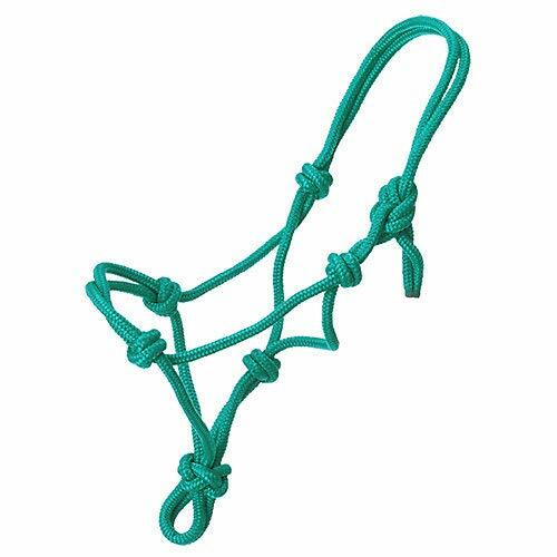 Turquoise rope halter on a white background