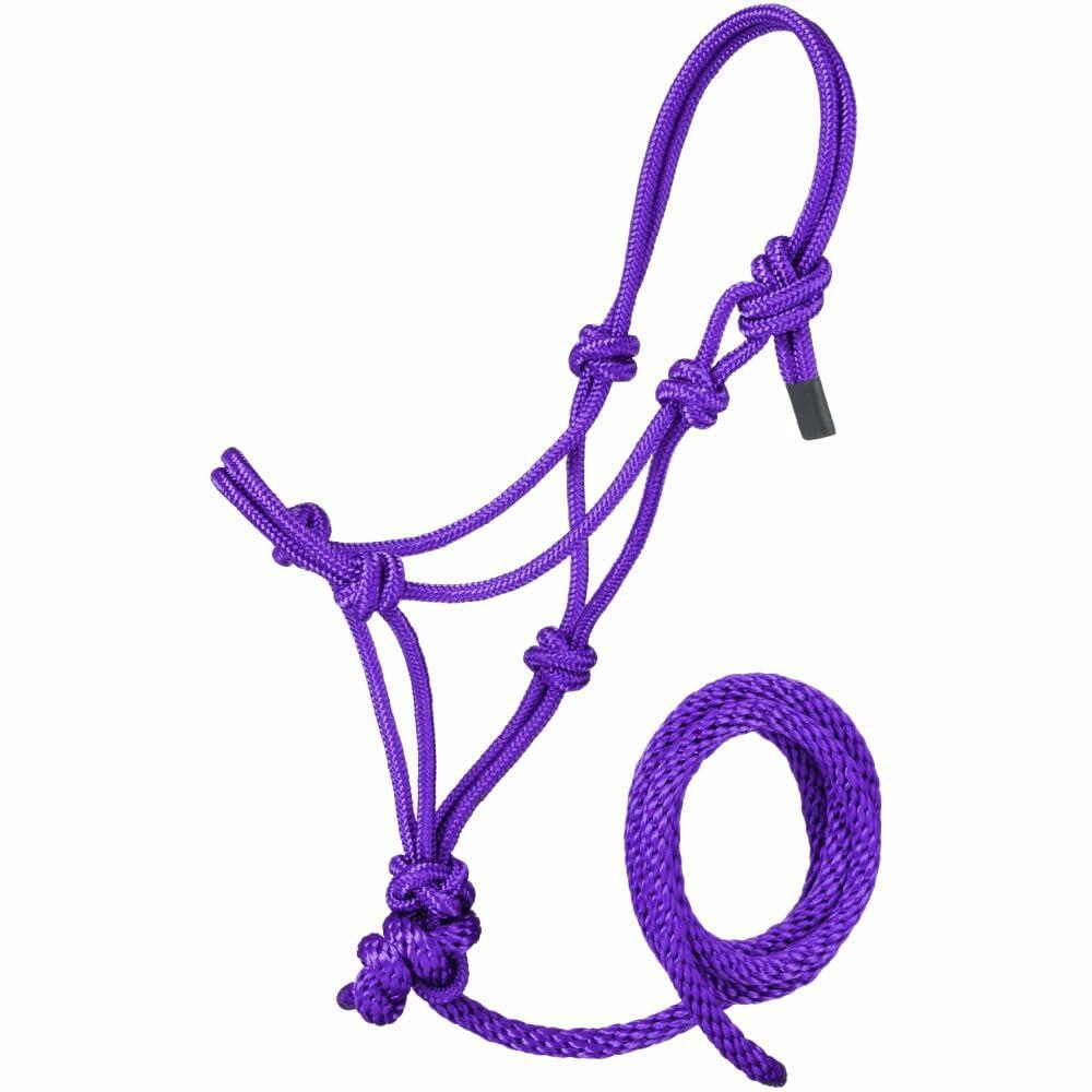Purple rope halter and lead rope on a white background