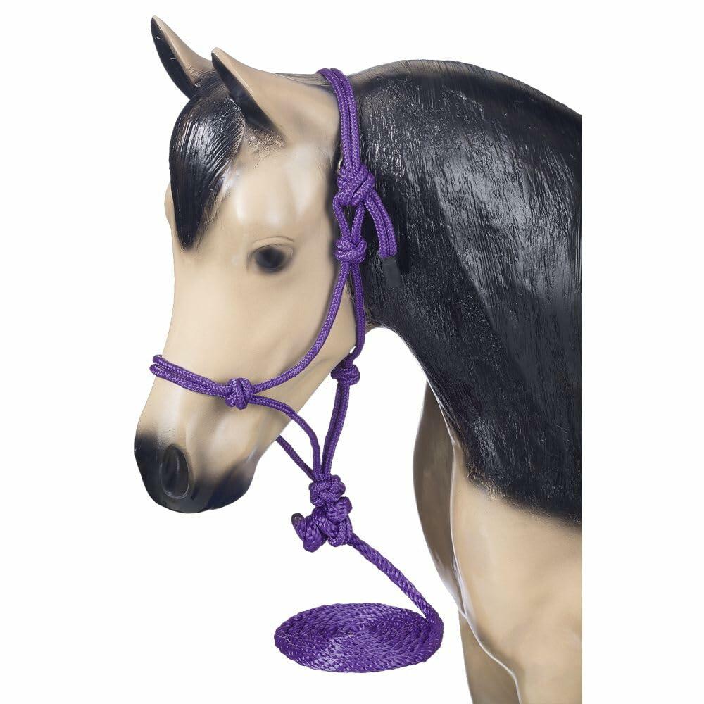 Horse head with a purple rope halter on a white background