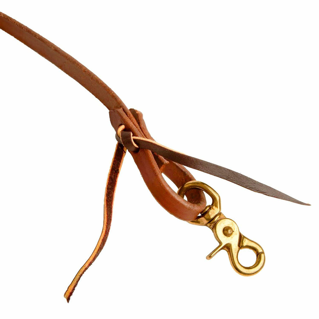 Brown leather strap with a gold clasp on a white background