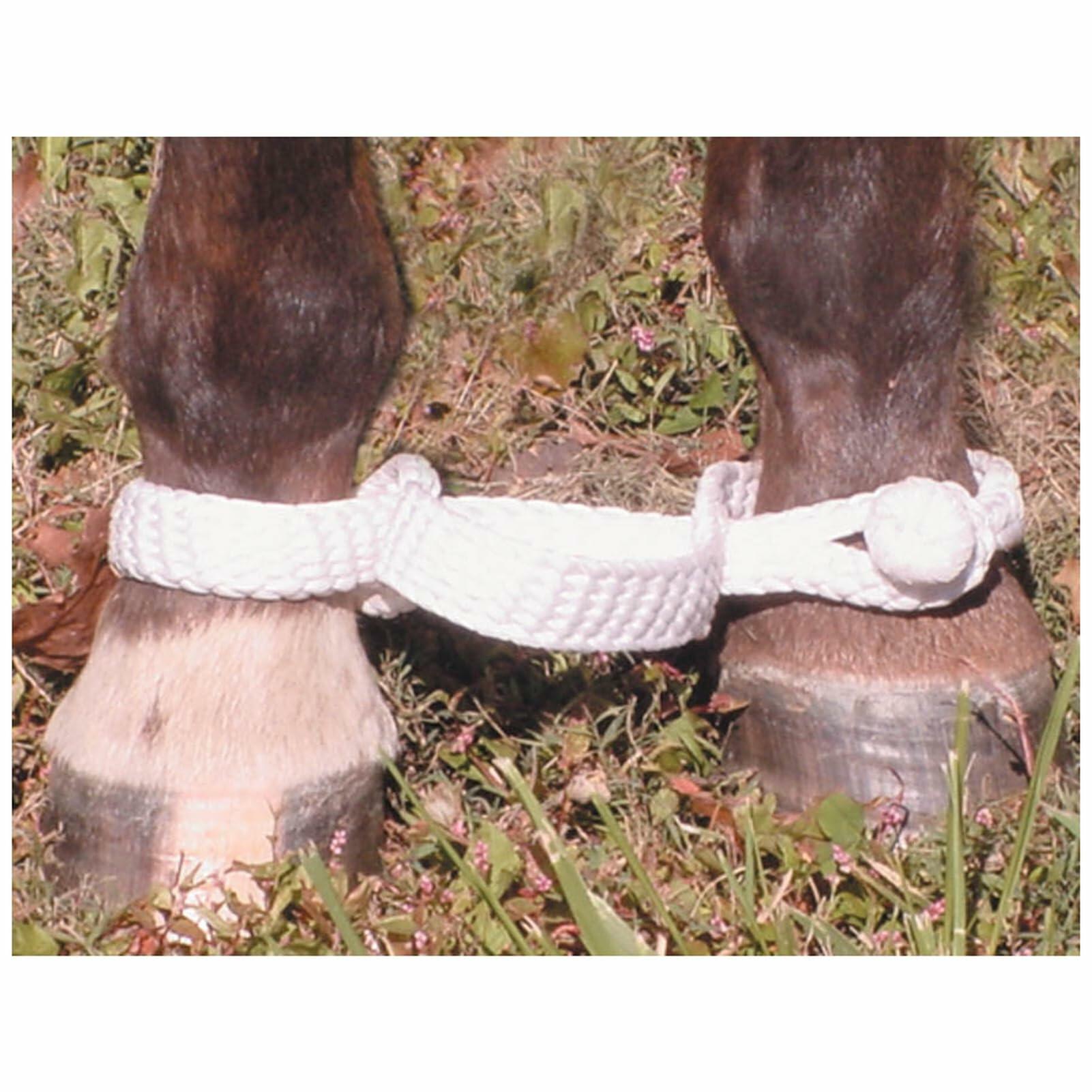 Horse hooves with white Braided horse hobbles on a grassy background