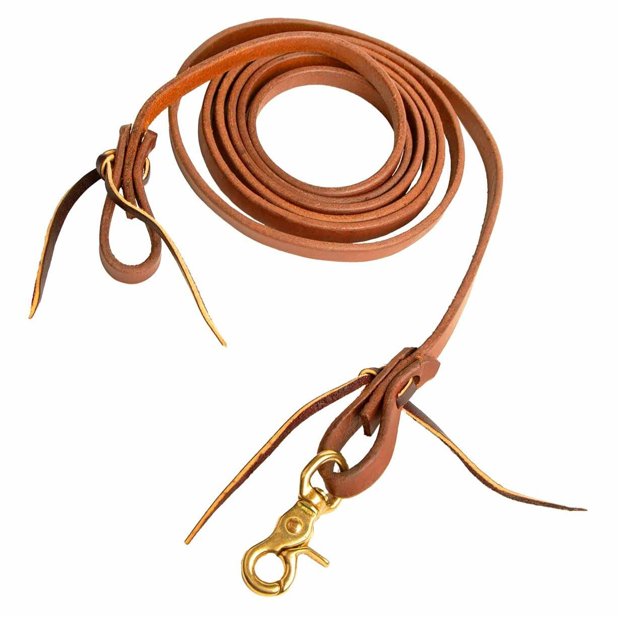 Brown leather dog leash with gold clasp on a white background