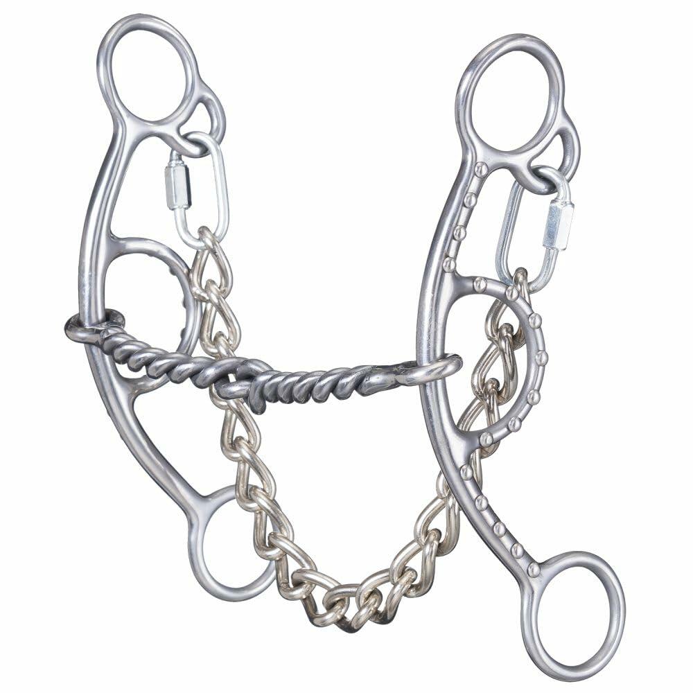 Silver horse bridle with chain and rope design on a white background