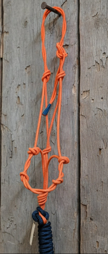 Orange tied rope halter