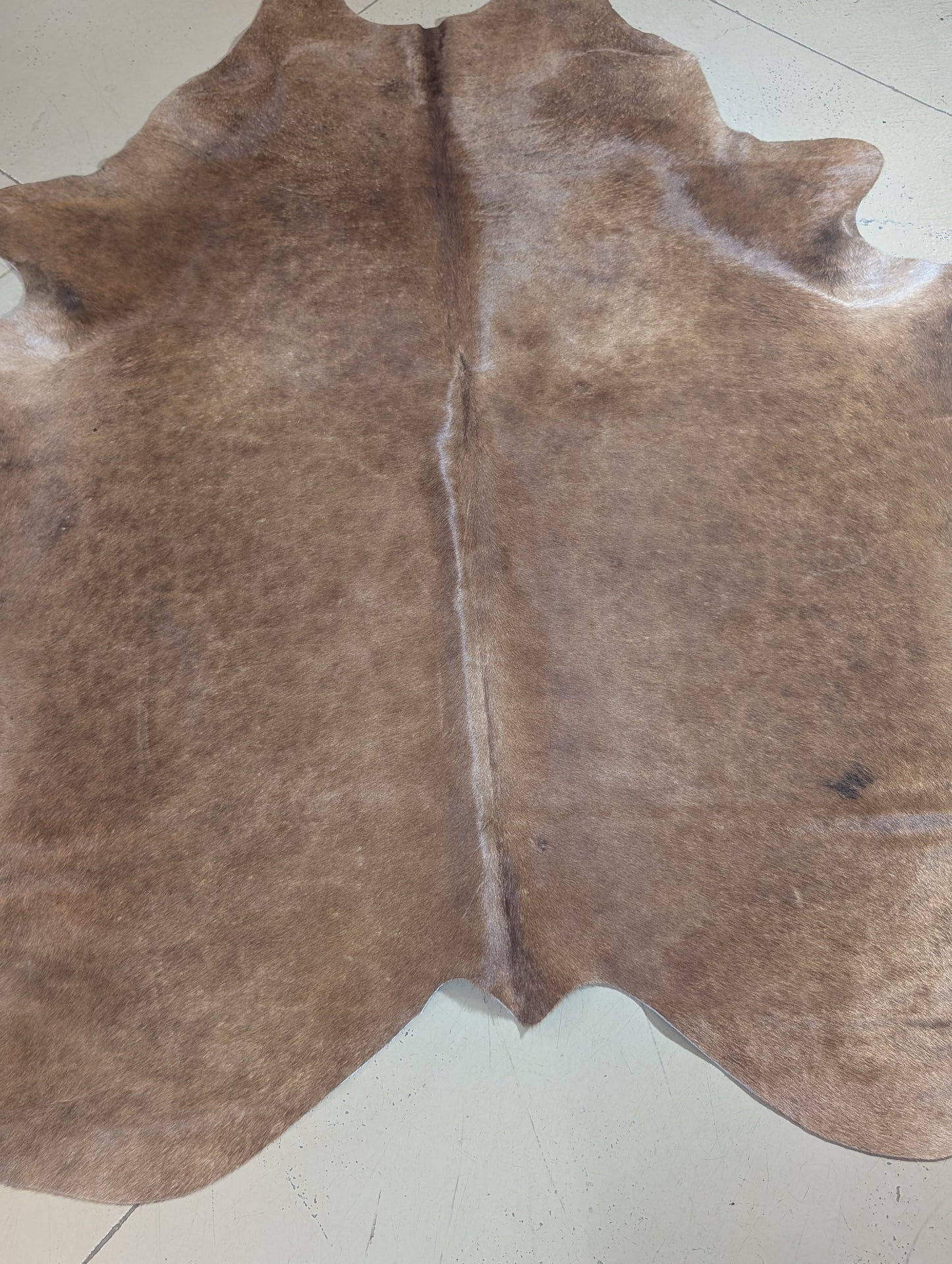 "Penny" Full Cowhide