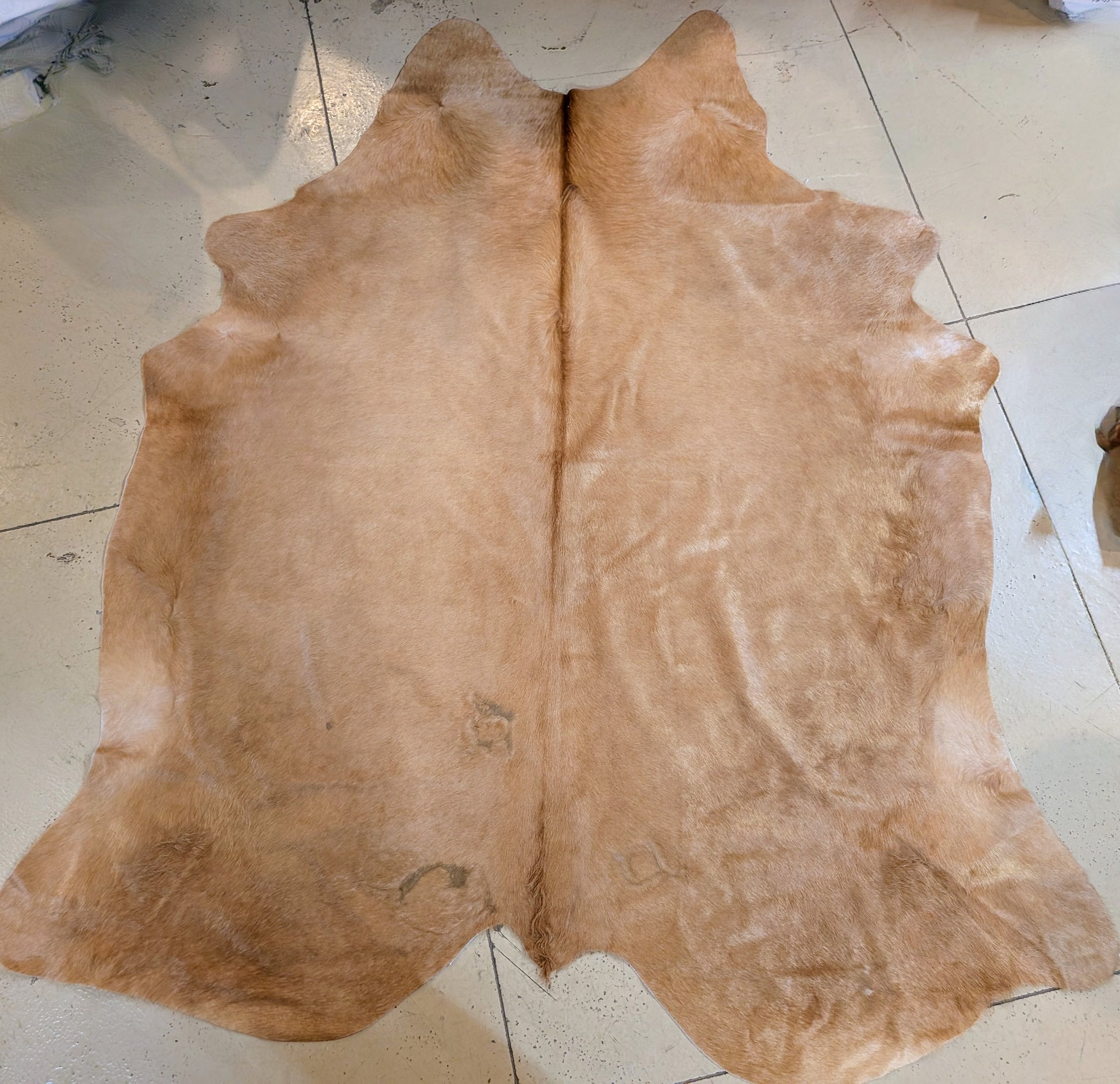 Grade A authentic branded cowhide rug in blonde color