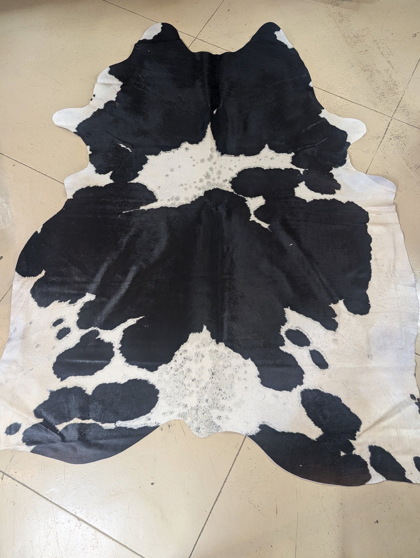 "Shady" Full Cowhide