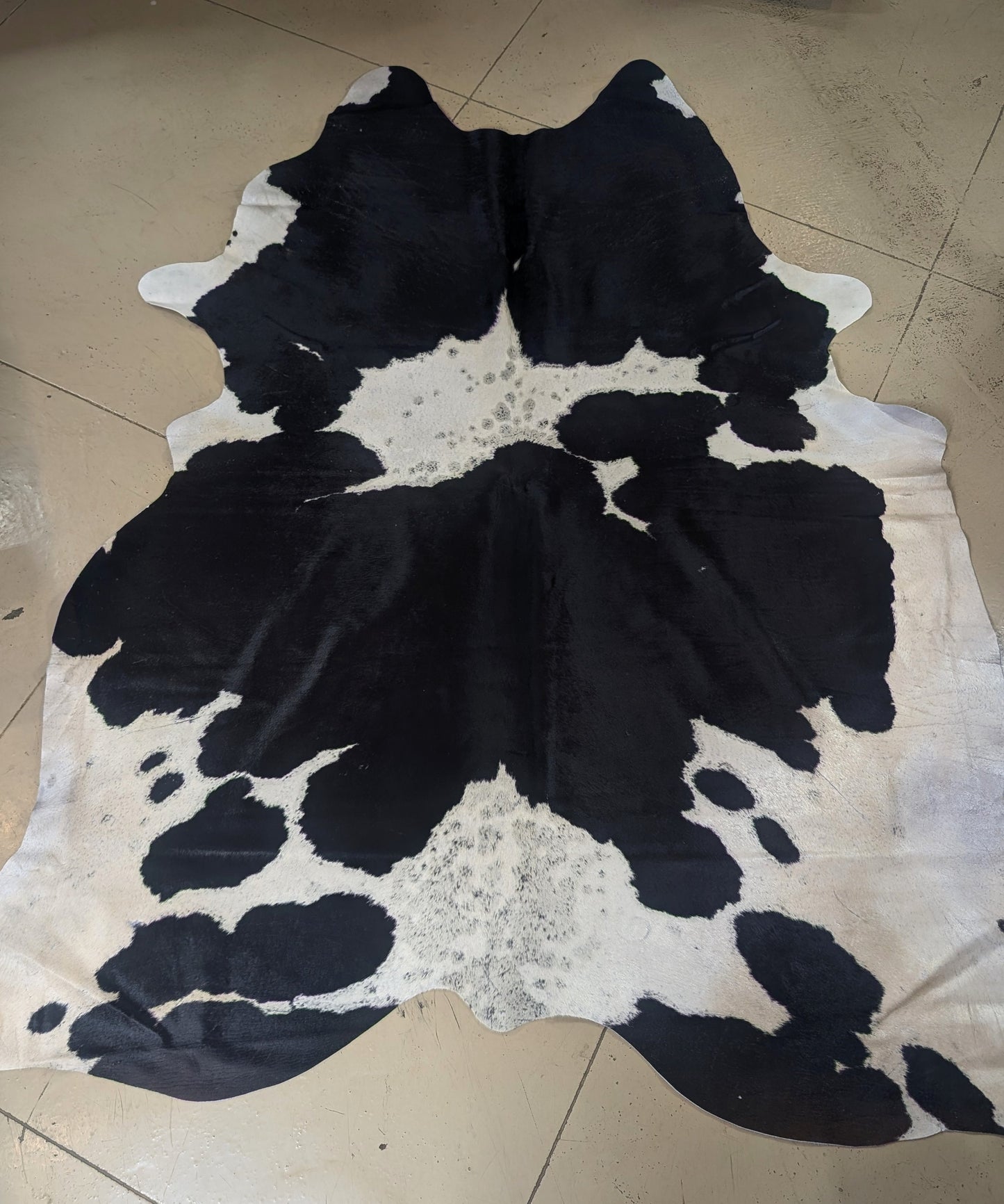 "Shady" Full Cowhide