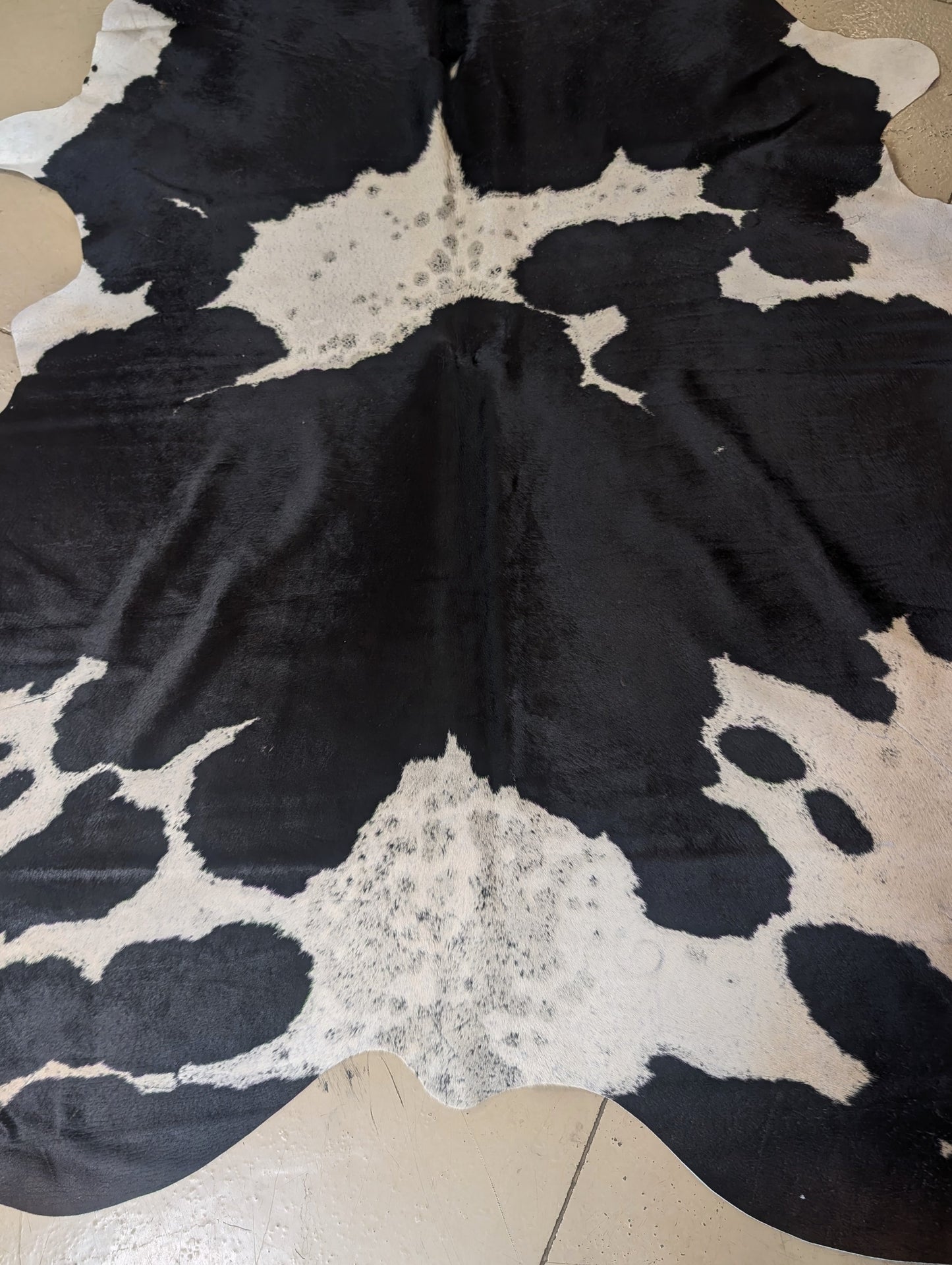 "Shady" Full Cowhide