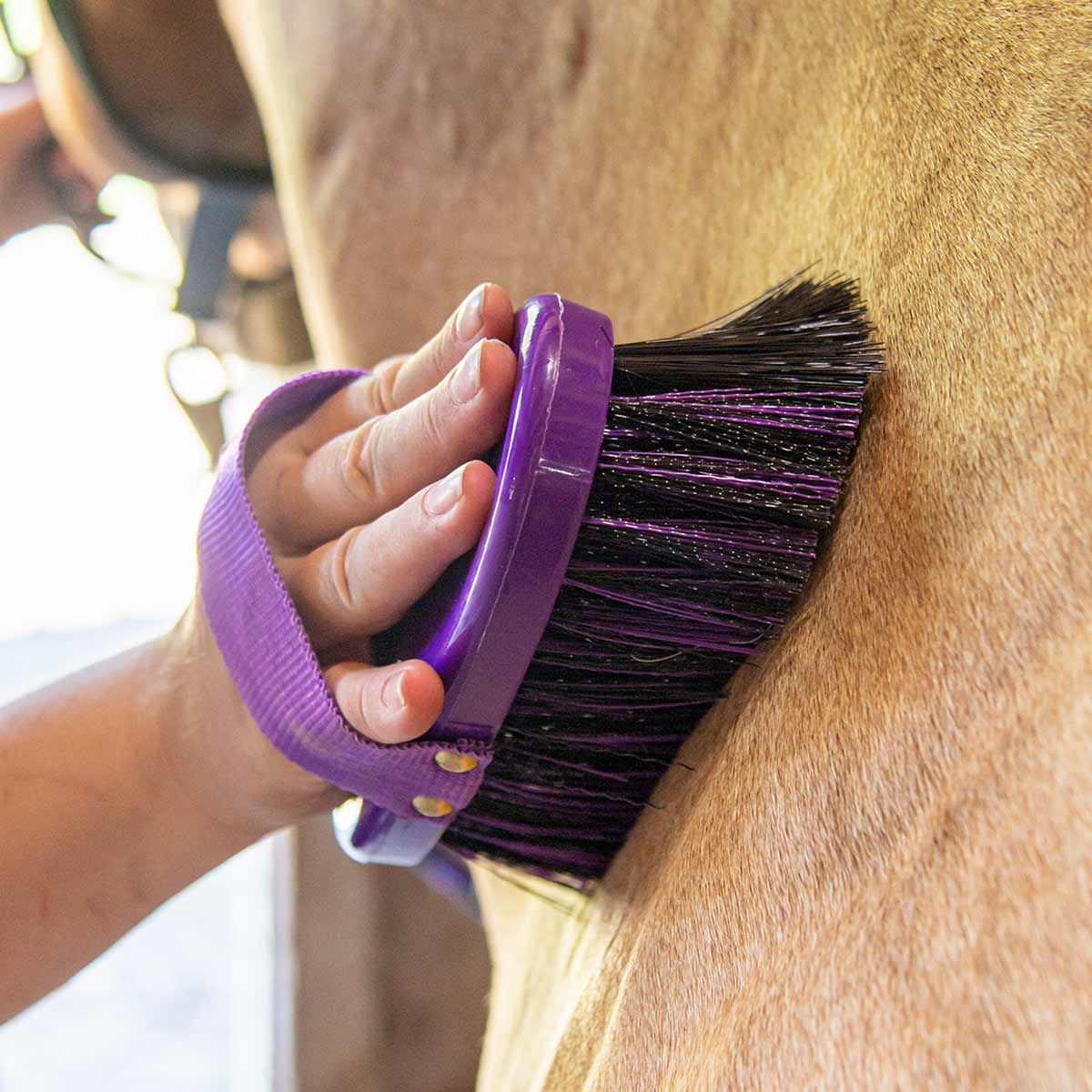 Comfort Grip Angled Medium and Soft Bristle Brush