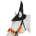 Horse wearing Halloween hat.