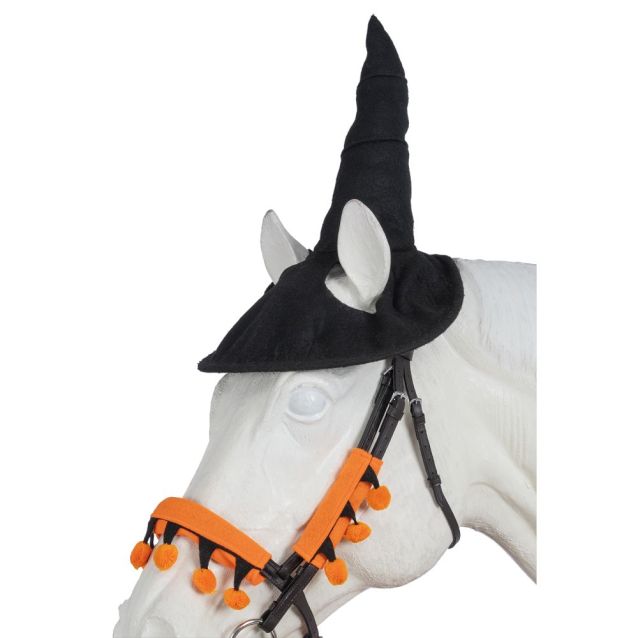 Horse wearing Halloween hat.