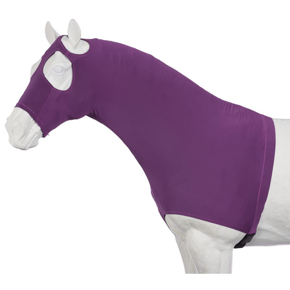Purple stretchy cover that is over the horses face and neck. Fits snug and has a strap that goes behind the front legs