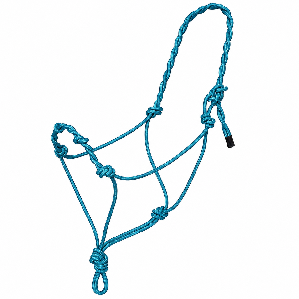 Dark teal rope halter with twisted crown and knots on the nose band.