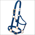 Blue horse halter with brass hardware 