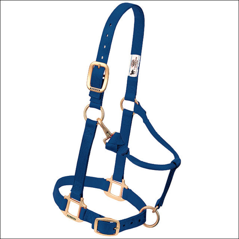 Blue horse halter with brass hardware 