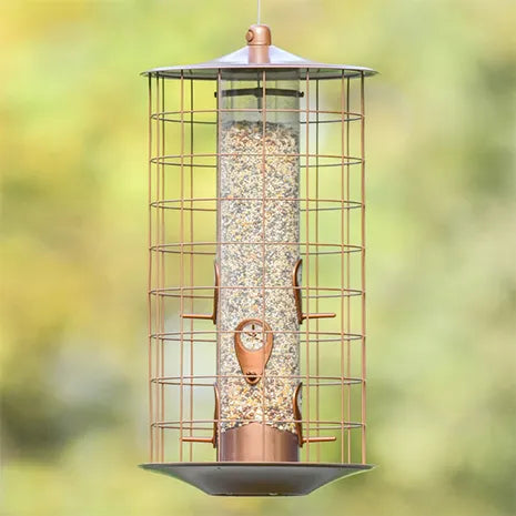 Bird feeder with seed