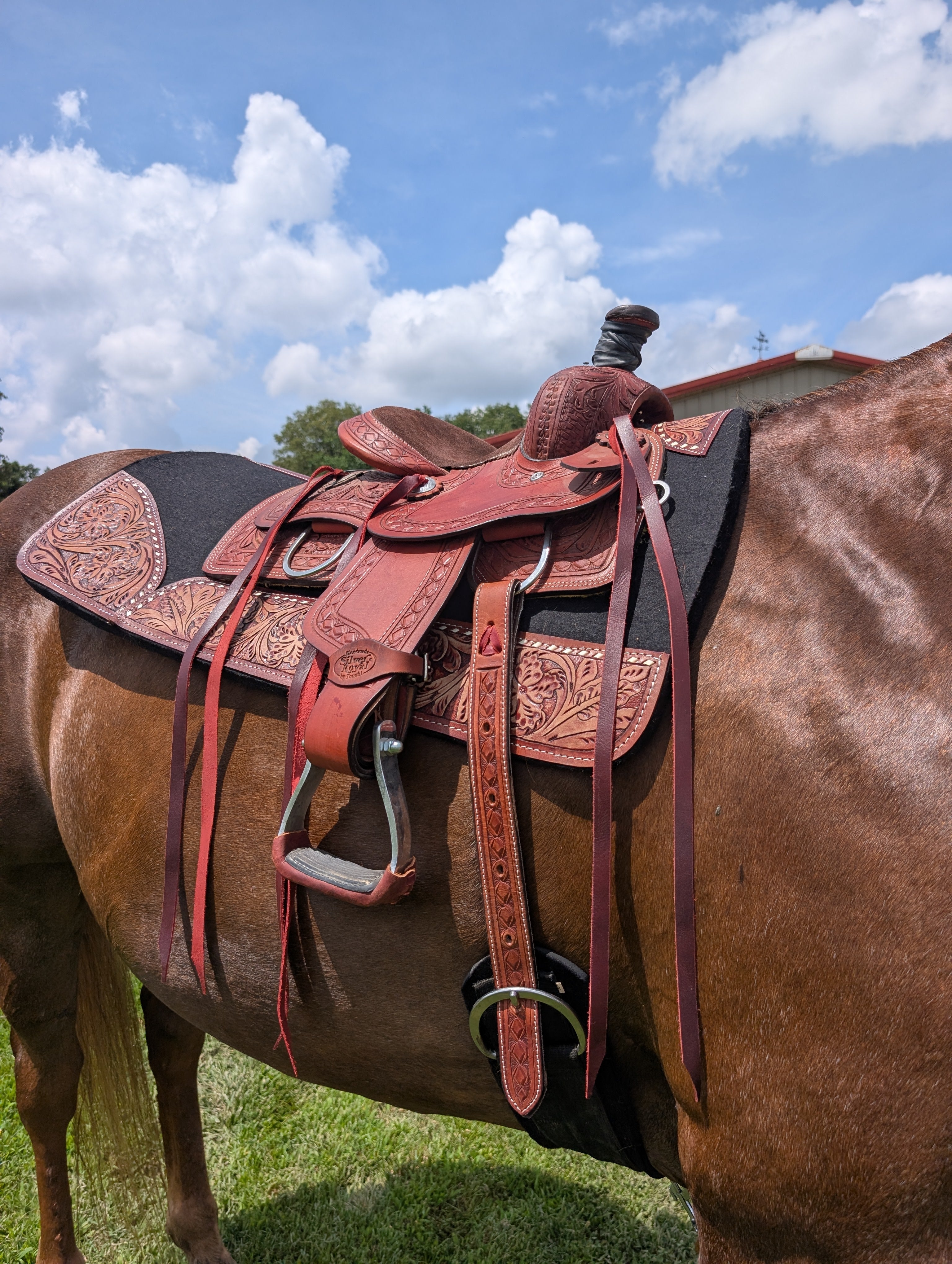 Complete youth ranch saddle 